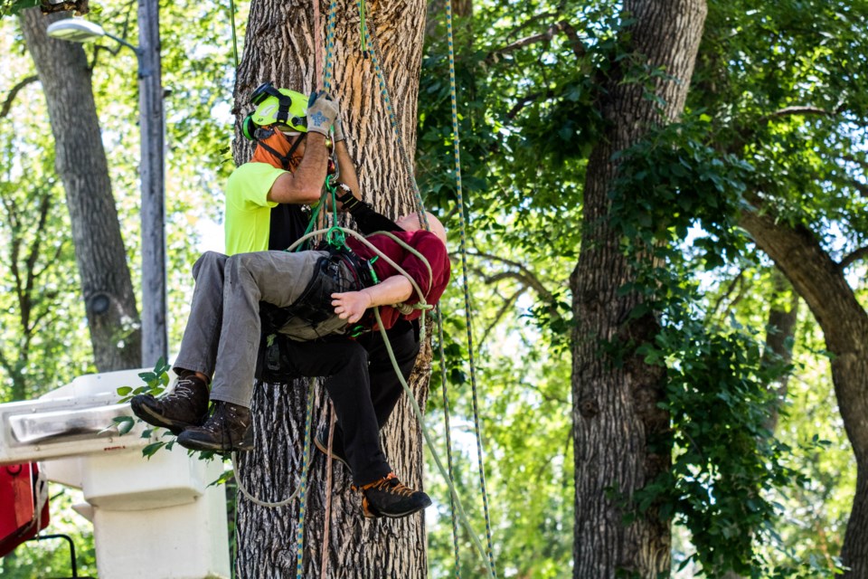 Arborist Training (2 of 9)