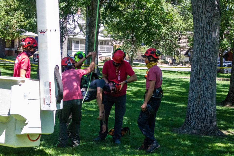 Arborist Training (8 of 9)