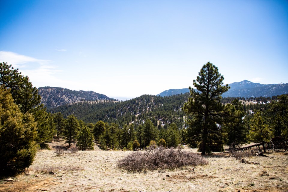 Betasso Preserve