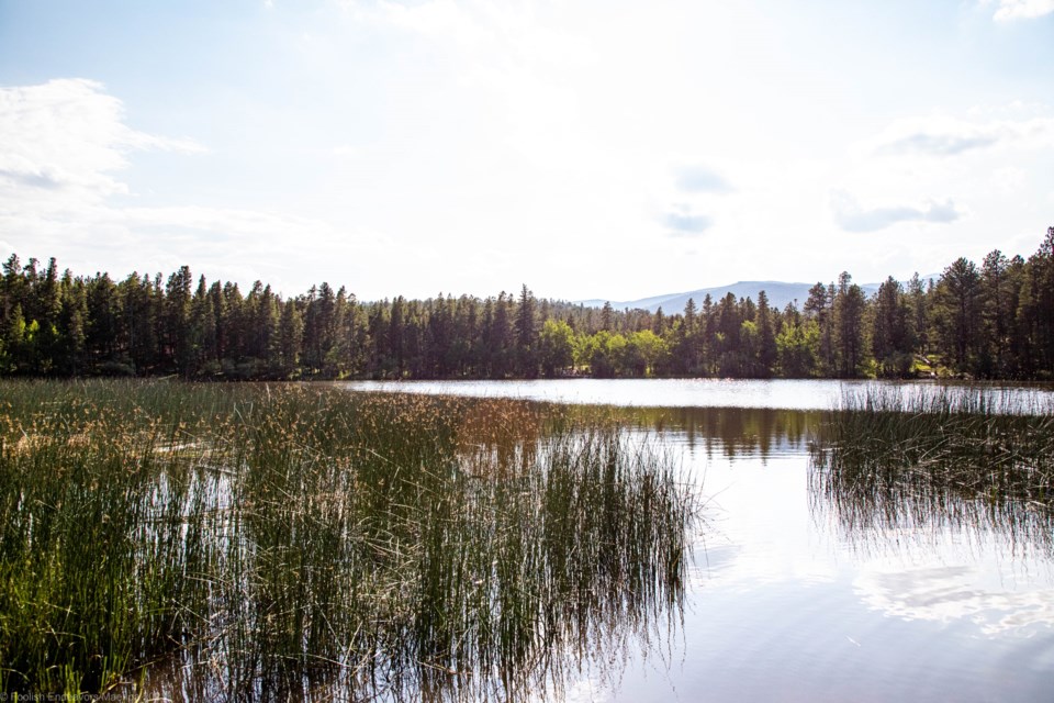 Caribou & Mud (10 of 10)