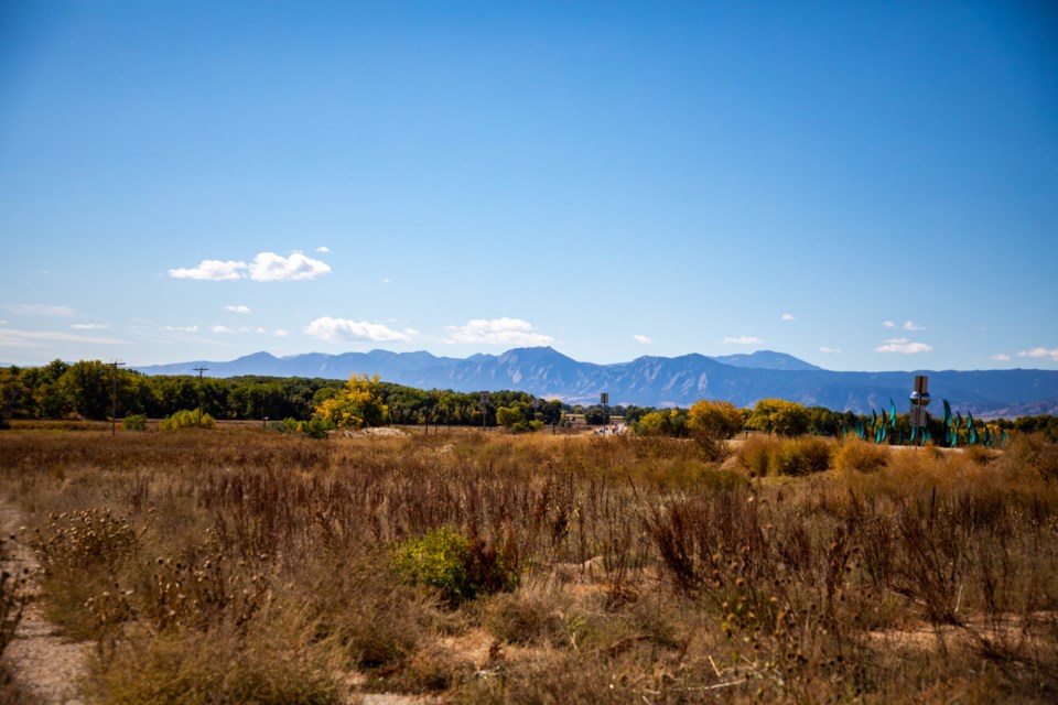 Mountain View (1 of 1)