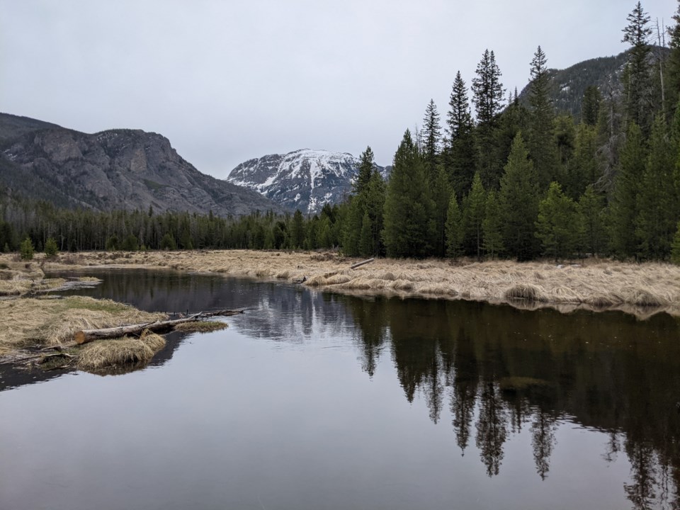pxl_20210517_164744950