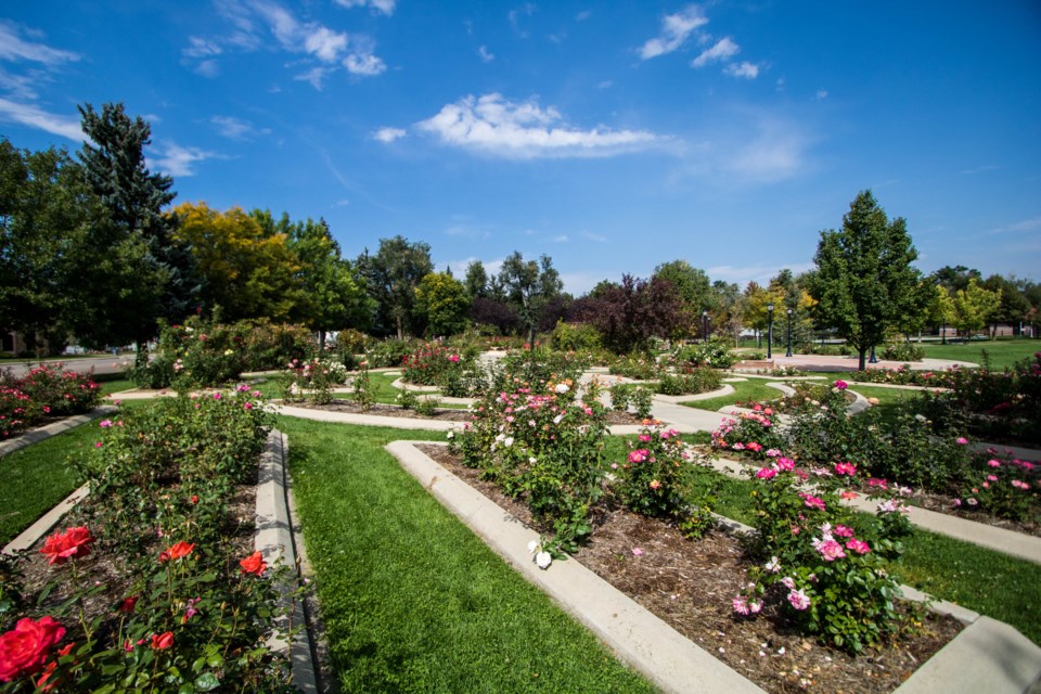Roosevelt Park Rose Garden (3 of 5)