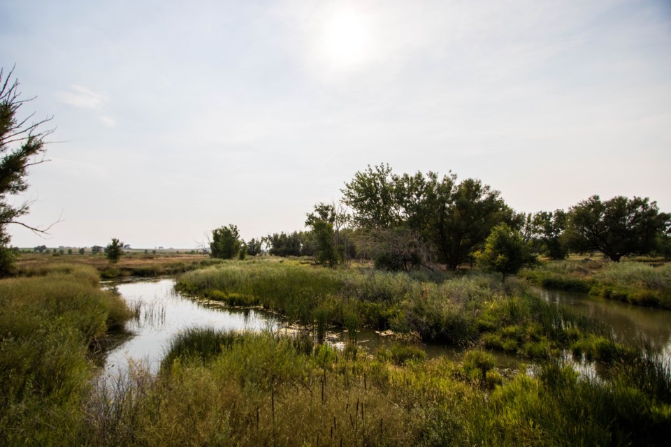 Waterways at Sandstone Ranch