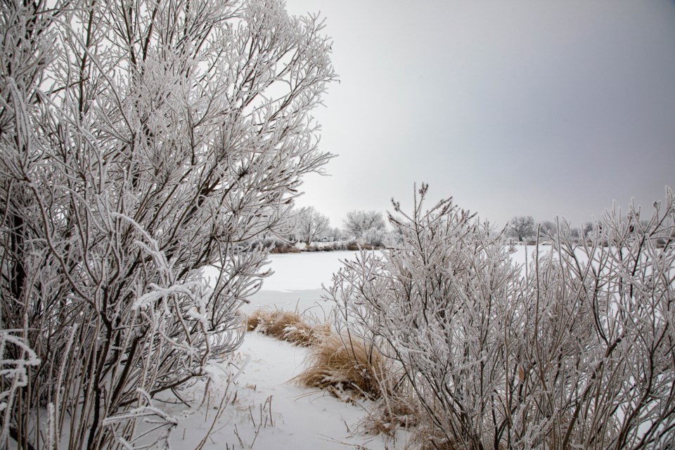 St Vrain Lake (4 of 8)