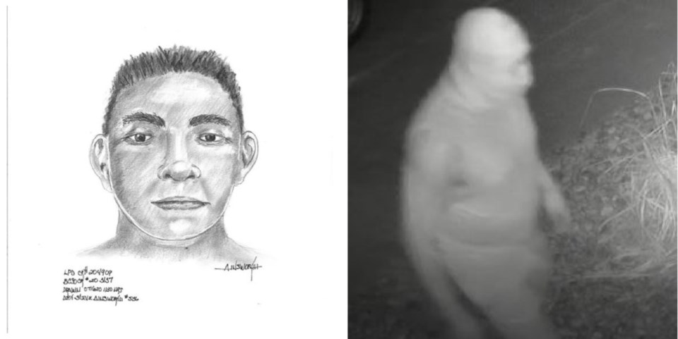 2020_07_21_LL_home_invasion_suspect_sketch