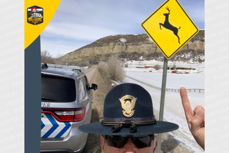 20231012coloradostatepolicedeercrossing