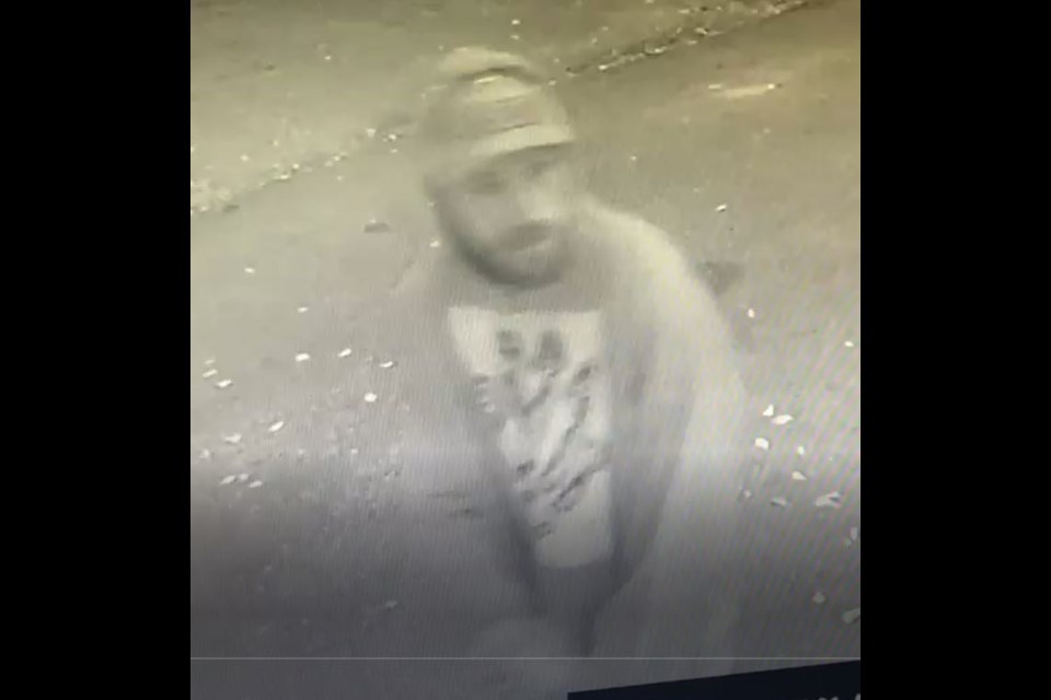 Suspect is wanted for vandalism
