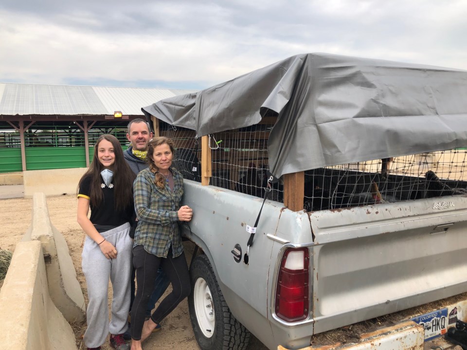 2020_10_19_LL_faigrounds_fire_evacuees_livestock1