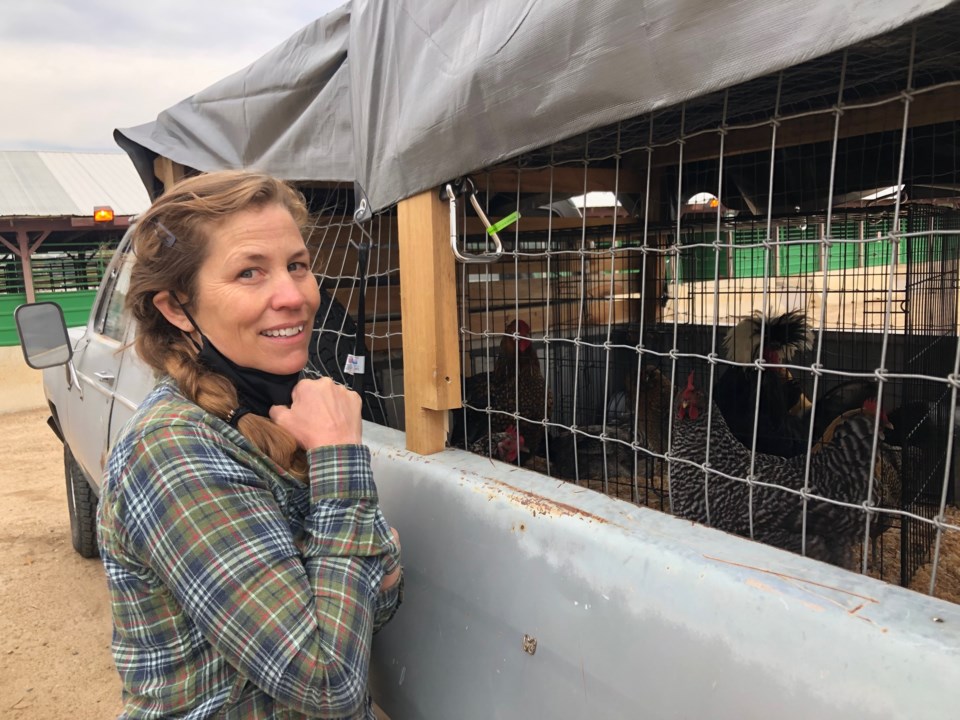 2020_10_19_LL_faigrounds_fire_evacuees_livestock2