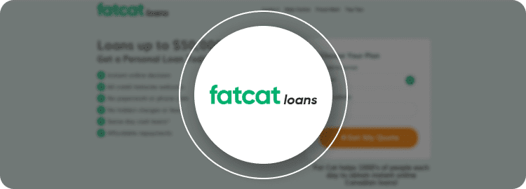 fat-cat-loans