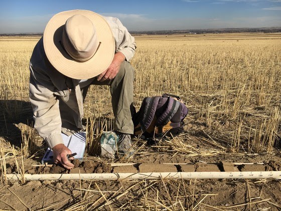 soilresearch