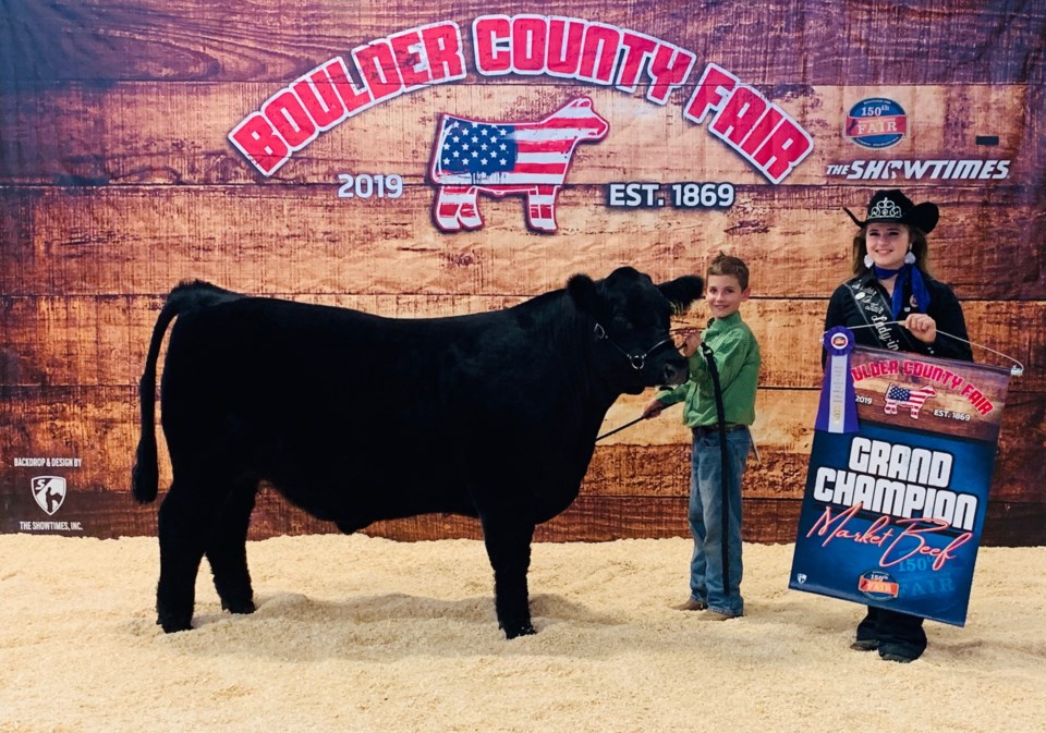 2020_08_06_LL_jonah_herring_steer_boco_fair