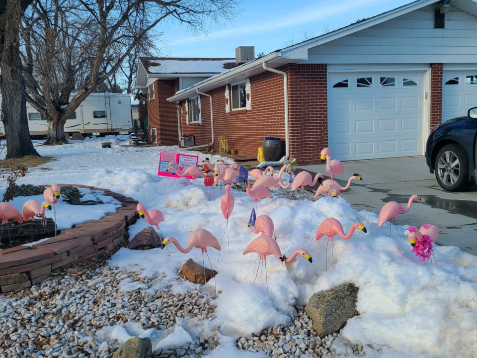 2021_03_28_LL_flamingo_fundraiser_christ_our_savior_church1