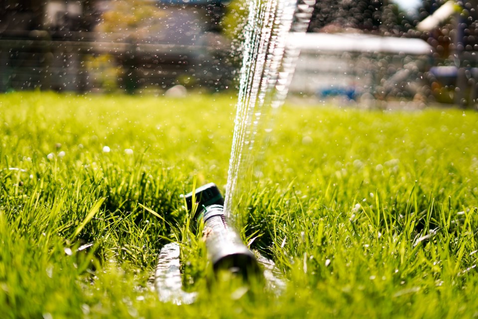 2020_06_25_LL_sprinkler_on_lawn