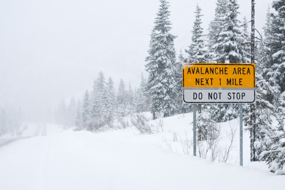 2020_09_24_LL_avalanche_area_stock