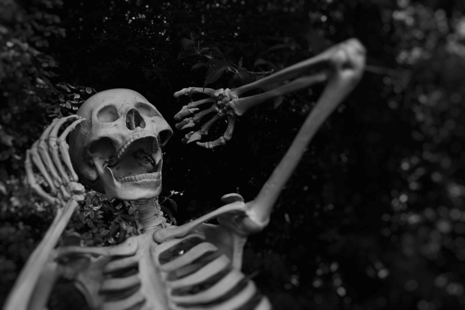 2020_10_30_LL_skeleton_stock