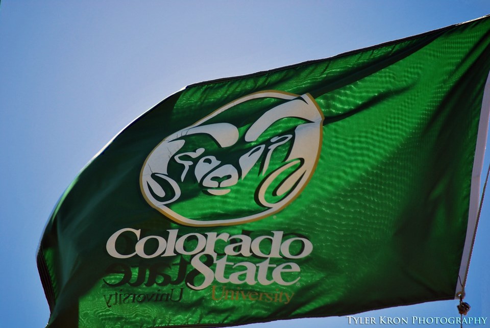 2021_02_23_LL_csu_flag_stock