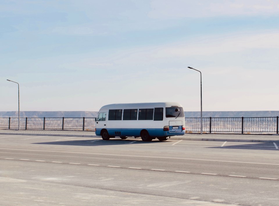 alina-nichepurenko-cylcf_8mnke-unsplash
