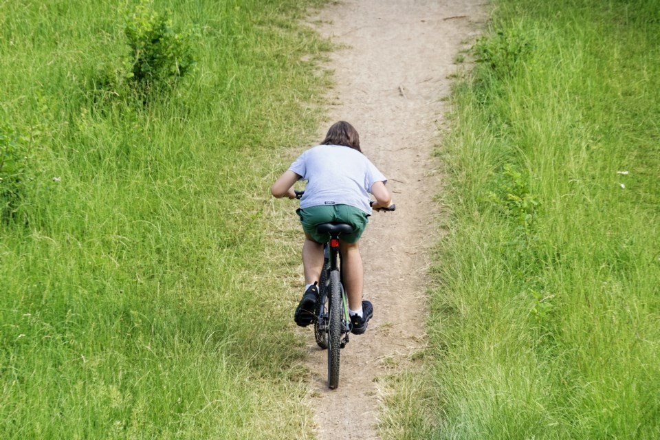 bicyclist-5281008_1920