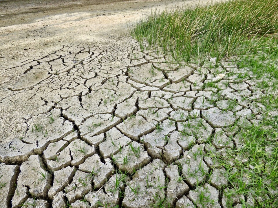 climate-change-2241061_1920
