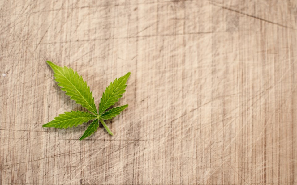 marijuana-3065621_1920