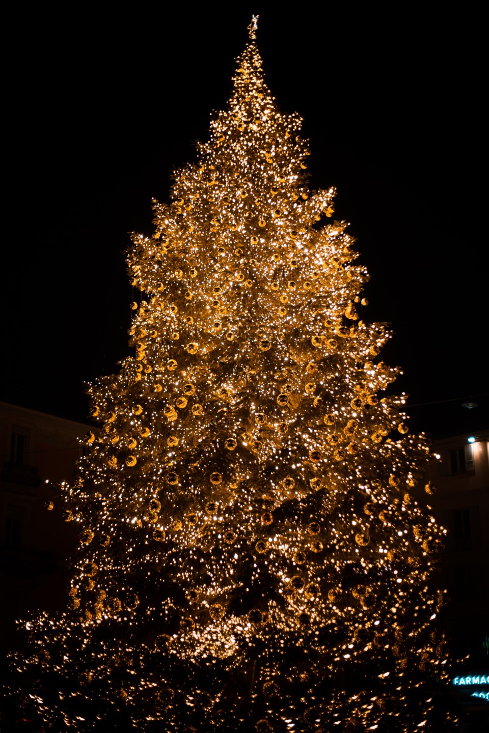 This week in Longmont Holiday tree lighting tonight The Longmont Leader