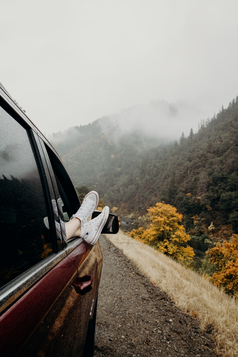 tamara-menzi-nQksYvlKxCo-unsplash