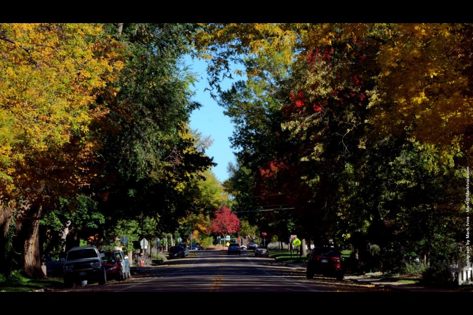 Looking North on Collyer Street &#8211; Photography by Mark Ivins