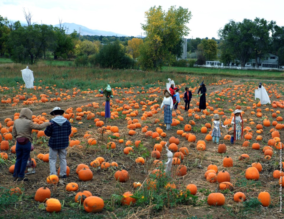 Pumkins