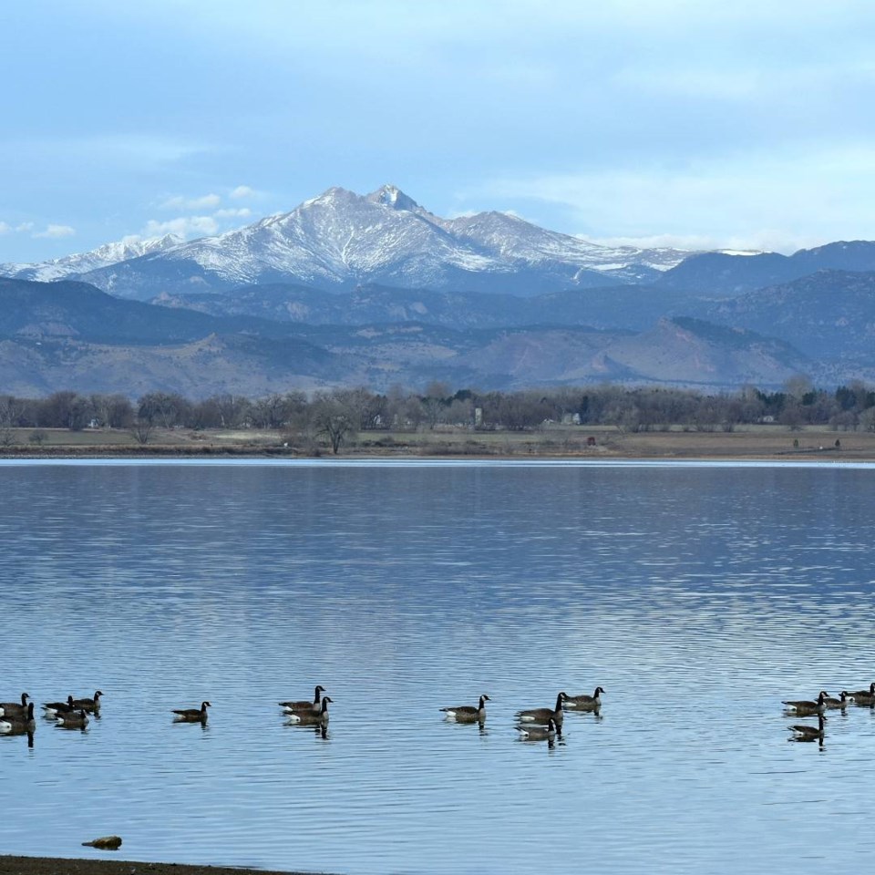 Lake McIntosh