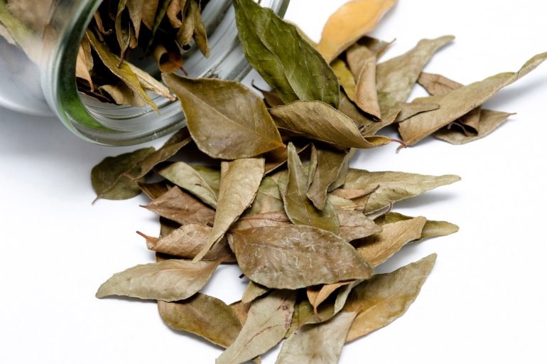 bay_leaf