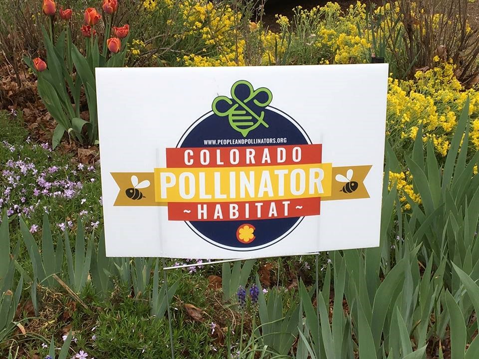 People and pollinators action network