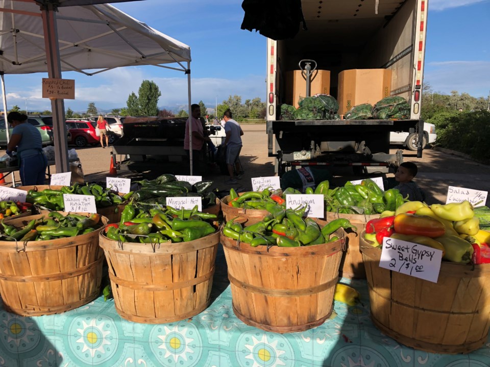 Pope Farm Chile Peppers at the Longmont Farmers Market