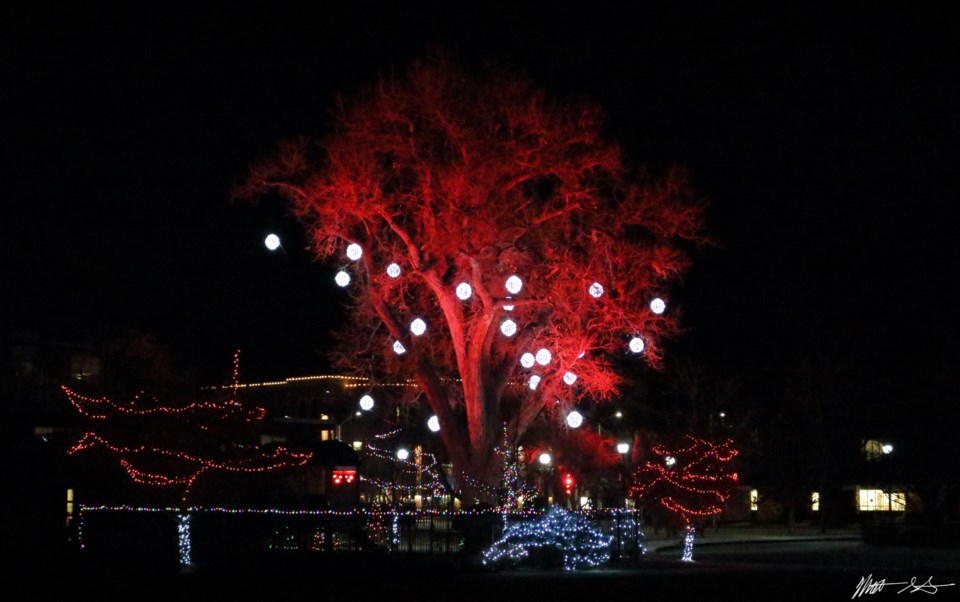 Roosevelt Park Lights 01