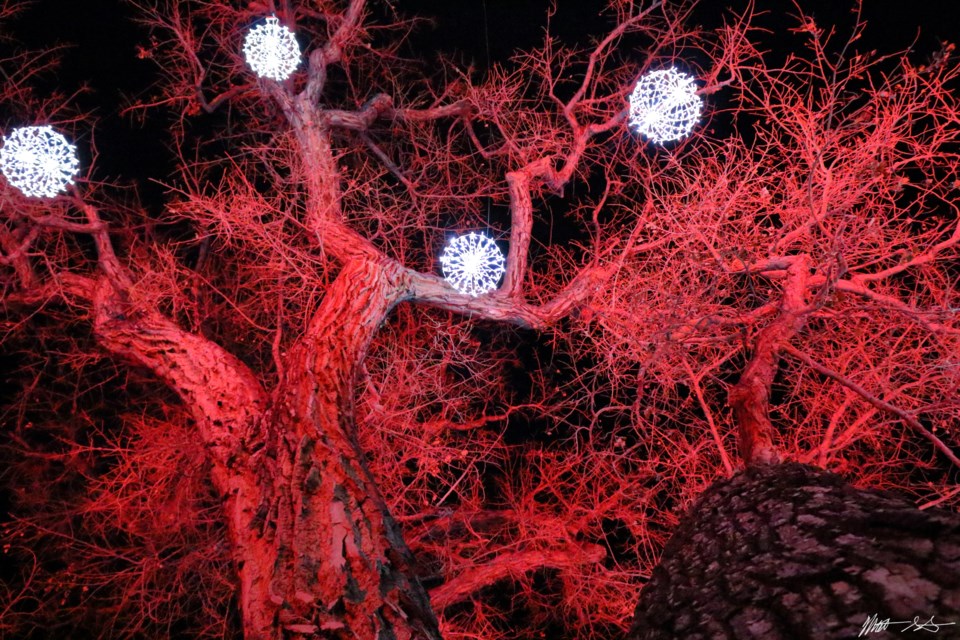 Gallery Holiday Lights at Roosevelt Park The Longmont Leader