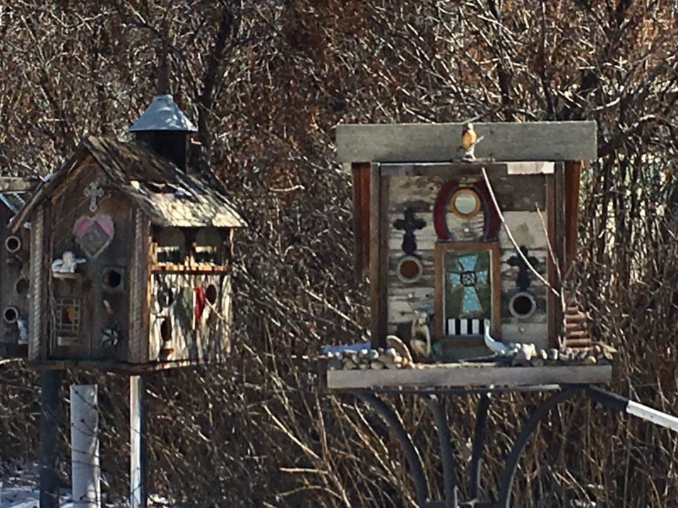 Birdhouses/Photo Lisa Barber-Taylor