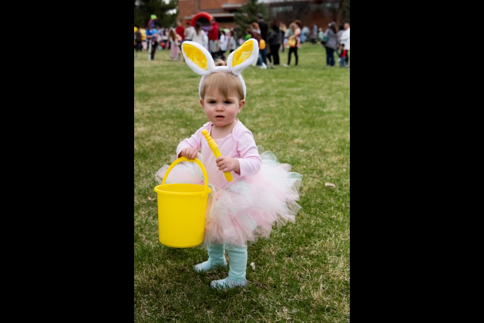 Little bunny (Photo by Lisa Reynoldson)