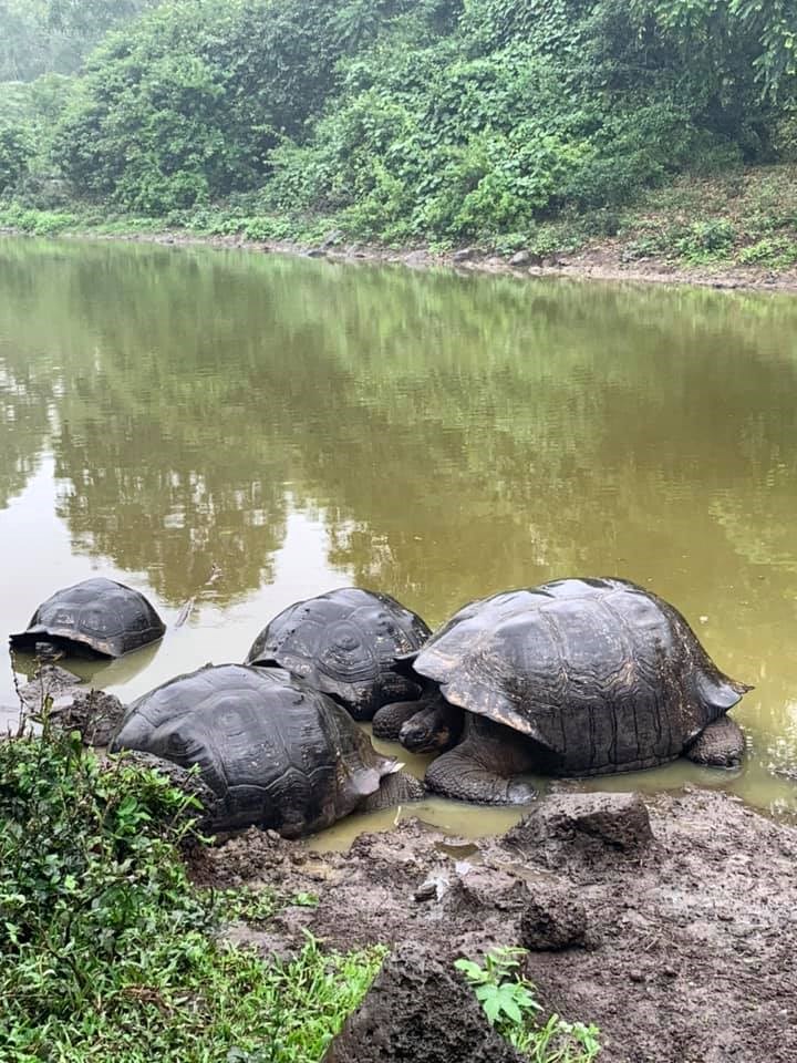 The Galapagos Islands are a haven for nature lovers. Photo by Stephanie Ong.