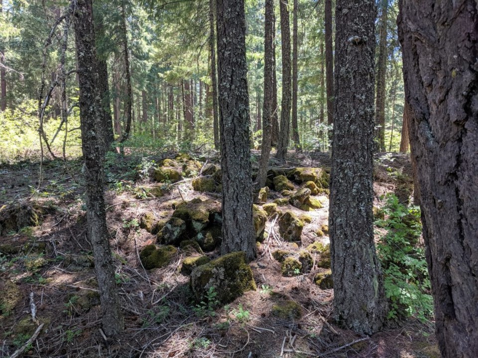 Crater Lake is surrounded by the old forest vegetation of mosses and ferns beneath the tree canopy. Photo by Teri Beaver.