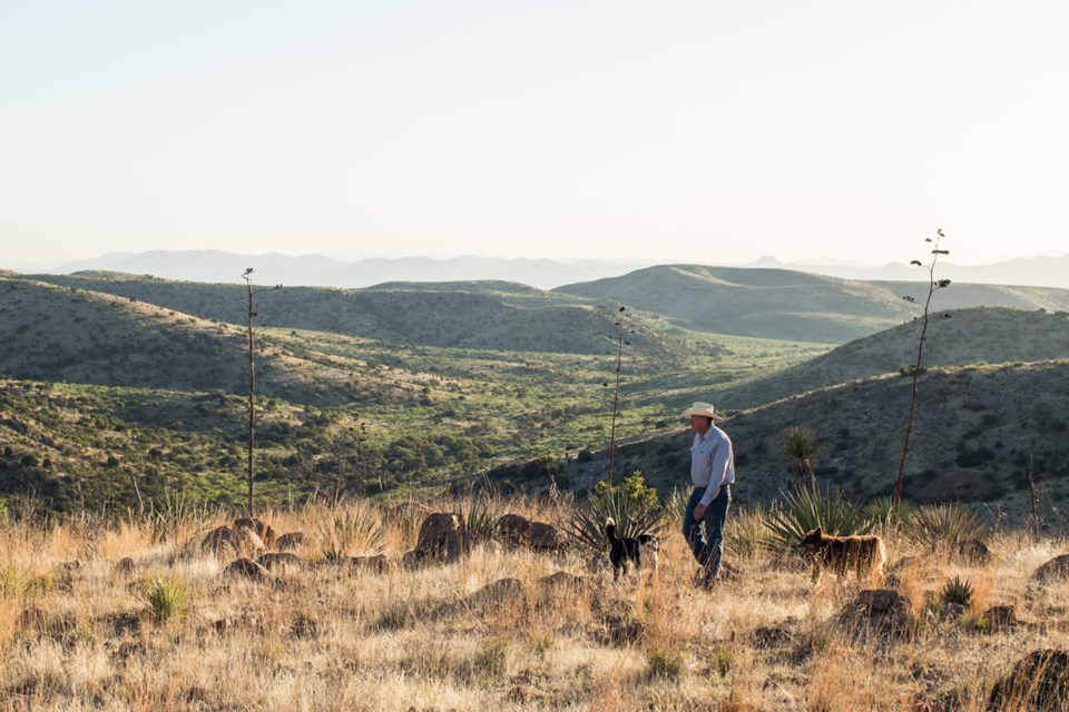 Bill McDonald, the founding executive director of the Malpai Borderlands Group, walks atop Cowboy Flats in Coronado National Forest in southern Arizona. Blake Gordon