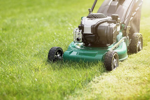 longmont-lawn-care