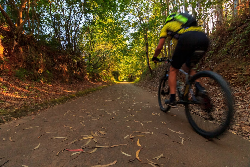 mountainbike