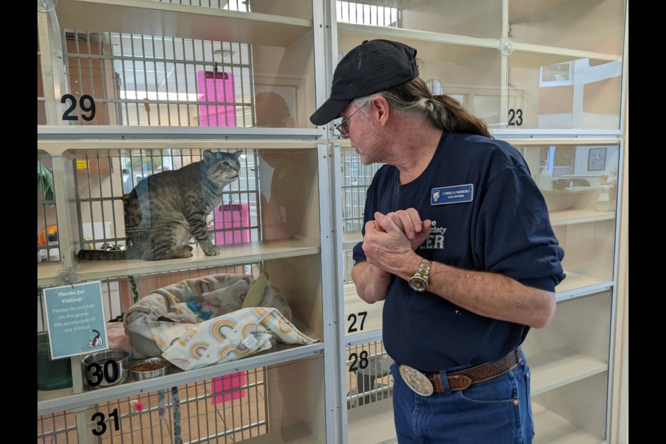 Volunteer Chris Lundberg visits with Crackerjack on Friday at the Longmont Humane Society. The shelter is celebrating 50 years in operation this year.