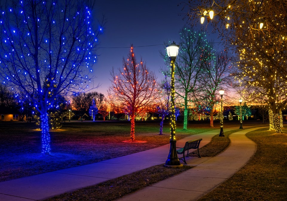 walk-in-the-park-at-dawn-imagemaker512