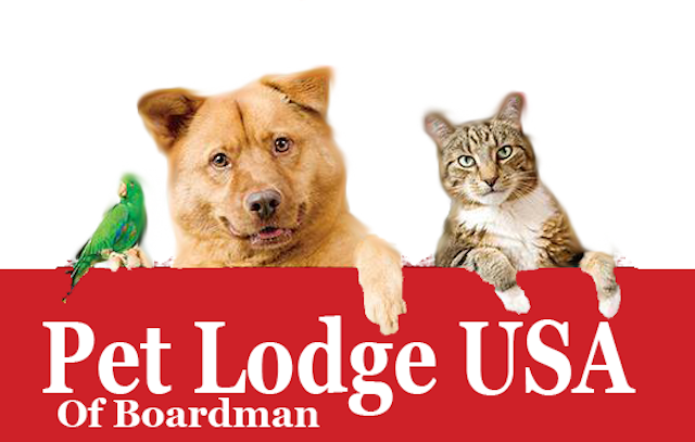 Pet Lodge USA sets fundraiser to help Columbiana Humane ...