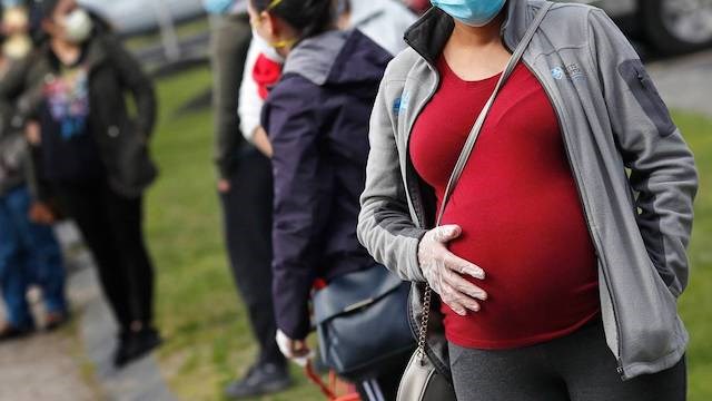 Pregnant women gain COVID antibodies from vaccine — and ...