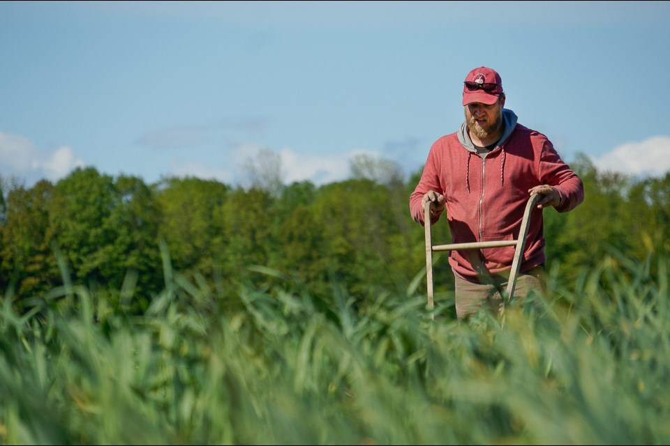 Farm2Door general manager Bart Nagel at his Bulbs of Fire farm.