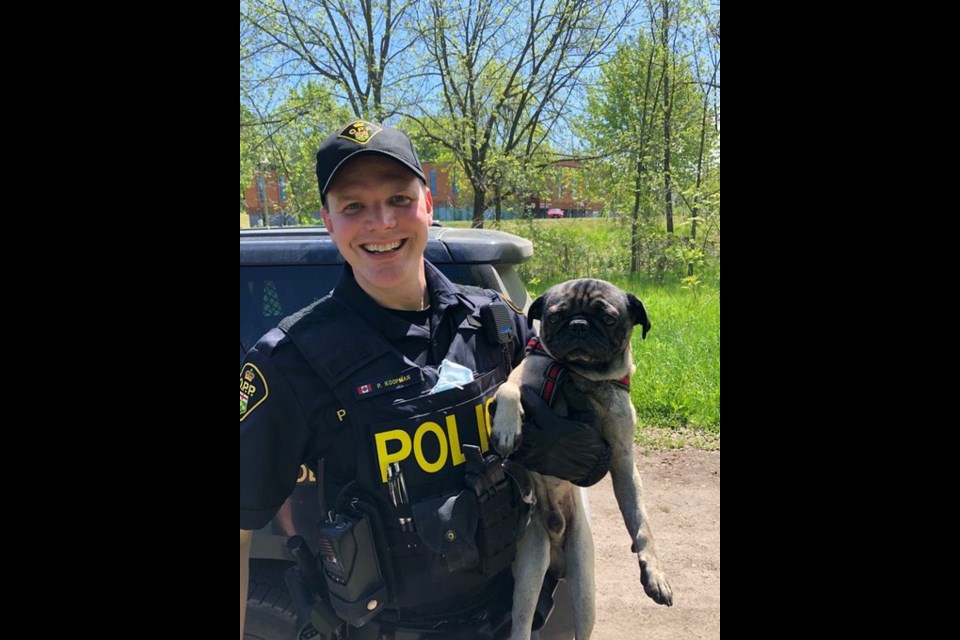 "Pugsley" was rescued by Southern Georgian Bay OPP after he was left by his owner in a zipped up tent at the Midland coal docks. He is now in the care of Huronia Animal Control.