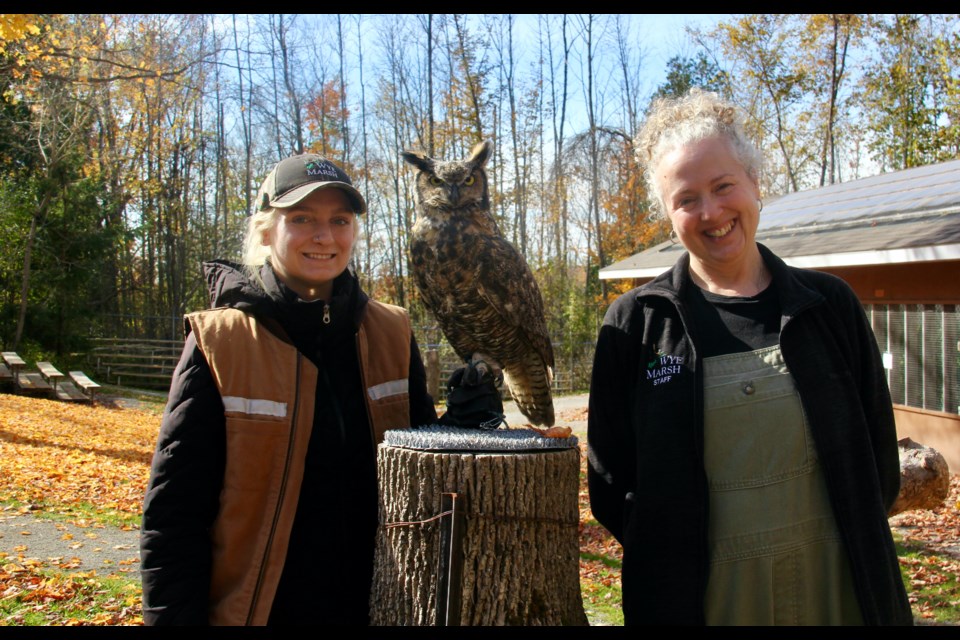 Johanna Rumney, animal care coordinator, left, and Kim Hacker, executive director of the Wye Marsh Wildlife Centre, seen with Becker, a great horned owl, have launched a new fundraiser to build a new aviary for the birds of prey.